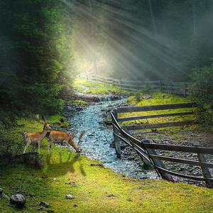 亚洲免费人成久久
